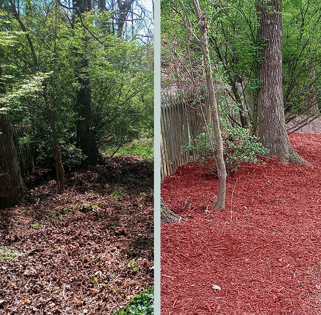 Before-and-After-Cleanup