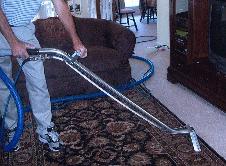 Interior Services - Carpet Cleaning